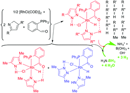 Graphical abstract: Stereoselective formation and catalytic activity of hydrido(acylphosphane)(chlorido)(pyrazole)rhodium(iii) complexes. Experimental and DFT studies