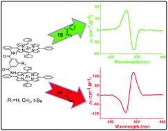 Graphical abstract: Discrimination between alkyl and aryl substituents of chiral monoamines by m-phthalic diamide-linked zinc bisporphyrinates