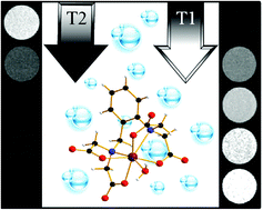 Graphical abstract: A water-soluble and water-coordinated Mn(ii) complex: synthesis, characterization and phantom MRI image study