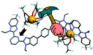 Graphical abstract: Metal loading of lanthanidopolymers driven by positive cooperativity
