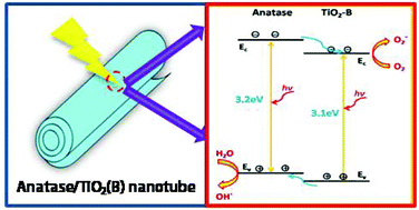Graphical abstract: Correlation between band alignment and enhanced photocatalysis: a case study with anatase/TiO2(B) nanotube heterojunction