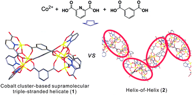 Graphical abstract: Synthesis of cobalt cluster-based supramolecular triple-stranded helicates