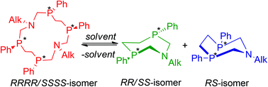 Graphical abstract: Synthesis and unique reversible splitting of 14-membered cyclic aminomethylphosphines on to 7-membered heterocycles