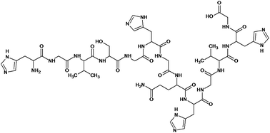 Graphical abstract: Copper(ii) complexes of terminally free alloferon mutants containing two histidyl binding sites inside peptide chain structure and stability