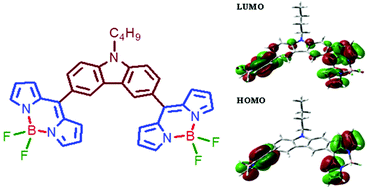 Graphical abstract: Bridged bis-BODIPYs: their synthesis, structures and properties