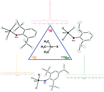 Graphical abstract: Syntheses, structures, and 1H, 13C{1H} and 119Sn{1H} NMR chemical shifts of a family of trimethyltin alkoxide, amide, halide and cyclopentadienyl compounds