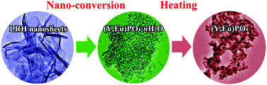 Graphical abstract: Sacrificial conversion of layered rare-earth hydroxide (LRH) nanosheets into (Y1−xEux)PO4 nanophosphors and investigation of photoluminescence