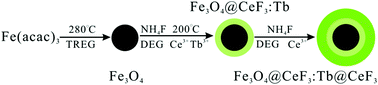 Graphical abstract: Folic acid-targeted magnetic Tb-doped CeF3 fluorescent nanoparticles as bimodal probes for cellular fluorescence and magnetic resonance imaging