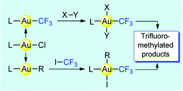 Graphical abstract: Gold trifluoromethyl complexes