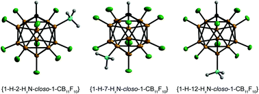 Graphical abstract: Polyfluorinated carba-closo-dodecaboranes with amino and ammonio substituents bonded to boron