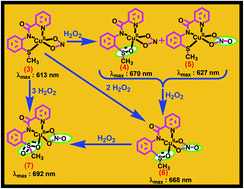 Graphical abstract: Copper coordinated ligand thioether-S and NO2− oxidation: relevance to the CuM site of hydroxylases