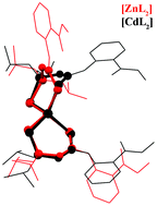 Graphical abstract: Metal ion influences distortion of the ligand in the structure of [M{2-MeO(O)CC6H4NHC(S)NP(S)(OiPr)2}2] (M = ZnII, CdII) complexes: a driving force for intermolecular aggregation