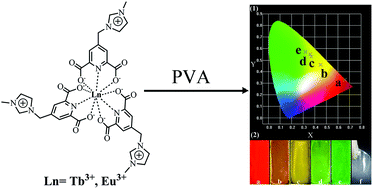 Graphical abstract: Water-soluble Tb3+ and Eu3+ complexes based on task-specific ionic liquid ligands and their application in luminescent poly(vinyl alcohol) films