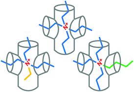 Graphical abstract: Preferential orientations of structure directing agents in zeolites