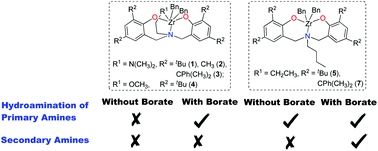 Graphical abstract: Zirconium complexes stabilized by amine-bridged bis(phenolato) ligands as precatalysts for intermolecular hydroamination reactions