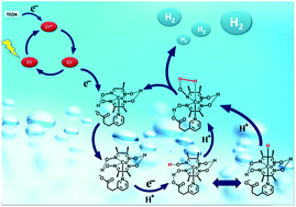 Graphical abstract: Enhanced photocatalytic hydrogen production by introducing the carboxylic acid group into cobaloxime catalysts