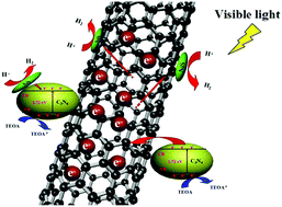 Graphical abstract: Earth-abundant NiS co-catalyst modified metal-free mpg-C3N4/CNT nanocomposites for highly efficient visible-light photocatalytic H2 evolution