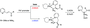 Graphical abstract: Palladacycle promoted base controlled regio- and enantioselective hydrophosphination of 2-pyridylacrylate/amide and the cytotoxicity of their gold complexes