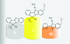 Graphical abstract: Cytotoxic properties of a new organometallic platinum(ii) complex and its gold(i) heterobimetallic derivatives