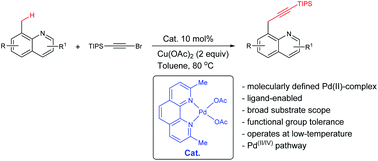 Graphical abstract: Well-defined palladium(ii) complexes for ligand-enabled C(sp3)-alkynylation