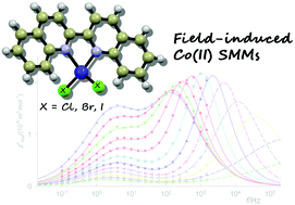 Graphical abstract: Three tetracoordinate Co(ii) complexes [Co(biq)X2] (X = Cl, Br, I) with easy-plane magnetic anisotropy as field-induced single-molecule magnets