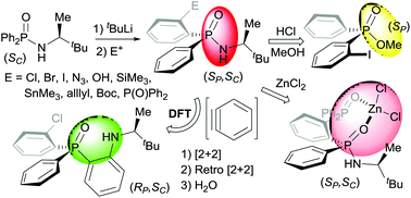 Graphical abstract: Synthesis of P-stereogenic diarylphosphinic amides by directed lithiation: transformation into tertiary phosphine oxides via methanolysis, aryne chemistry and complexation behaviour toward zinc(ii)