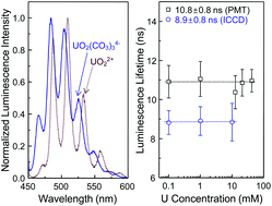 Graphical abstract: Time-resolved laser fluorescence spectroscopy of UO2(CO3)34−