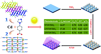 Graphical abstract: Advanced CdII complexes as high efficiency co-sensitizers for enhanced dye-sensitized solar cell performance