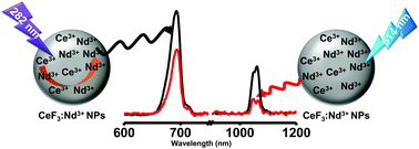 Graphical abstract: Enhanced visible and near infrared emissions via Ce3+ to Ln3+ energy transfer in Ln3+-doped CeF3 nanocrystals (Ln = Nd and Sm)