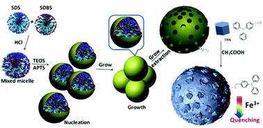 Graphical abstract: Mixed anionic surfactant-templated mesoporous silica nanoparticles for fluorescence detection of Fe3+