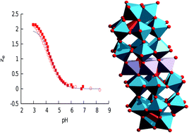 Graphical abstract: pH-Dependent solution dynamics of a manganese(ii) polyoxometalate, [Mn4(H2O)2(P2W15O56)2]16−, and [Mn(H2O)6]2+