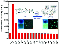 Graphical abstract: A peptide-based fluorescent chemosensor for measuring cadmium ions in aqueous solutions and live cells