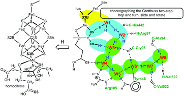 Graphical abstract: The pathway for serial proton supply to the active site of nitrogenase: enhanced density functional modeling of the Grotthuss mechanism