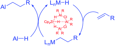 Graphical abstract: Insertion and isomerisation of internal olefins at alkylaluminium hydride: catalysis with zirconocene dichloride