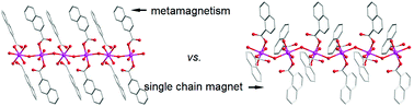 Graphical abstract: Two water-bridged cobalt(ii) chains with isomeric naphthoate spacers: from metamagnetic to single-chain magnetic behaviour