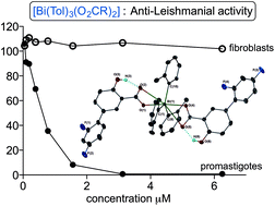 Graphical abstract: Stability and toxicity of tris-tolyl bismuth(v) dicarboxylates and their biological activity towards Leishmania major