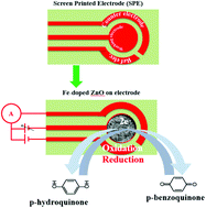 Graphical abstract: Fabrication and characterization of a highly sensitive hydroquinone chemical sensor based on iron-doped ZnO nanorods