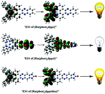 Graphical abstract: Impacts of terminal modification of [Ru(phen)2dppz]2+ on the luminescence properties: a theoretical study