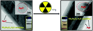 Graphical abstract: Safe disposal of radioactive iodide ions from solutions by Ag2O grafted sodium niobate nanofibers