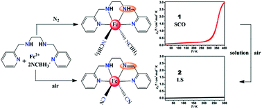 Graphical abstract: In air a spin crossover active iron(ii) complex of amine/NCBH3− ligands is converted to a low spin complex of imine/CN− ligands