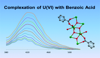 Graphical abstract: Complexation of U(vi) with benzoic acid at variable temperatures (298–353 K): thermodynamics and crystal structures of U(vi)/benzoate complexes
