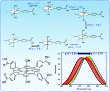 Graphical abstract: Synthesis of water-soluble silicon-porphyrin: protolytic behaviour of axially coordinated hydroxy groups