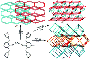 Graphical abstract: Hydrothermal synthesis and structural characterization of metal–organic frameworks based on new tetradentate ligands