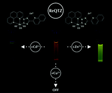 Graphical abstract: Targeting divalent metal cations with Re(i) tetrazolato complexes