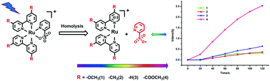 Graphical abstract: Substituent effect and wavelength dependence of the photoinduced Ru–O homolysis in the [Ru(bpy)2(py-SO3)]+-type complexes