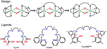 Graphical abstract: Design and synthesis of a dinucleating ligand system with varying terminal donor functions that provides no bridging donor and its application to the synthesis of a series of FeIII–μ-O–FeIII complexes