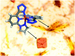 Graphical abstract: Surface induces different crystal structures in a room temperature switchable spin crossover compound