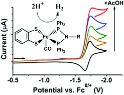 Graphical abstract: Highly functionalizable penta-coordinate iron hydrogen production catalysts with low overpotentials