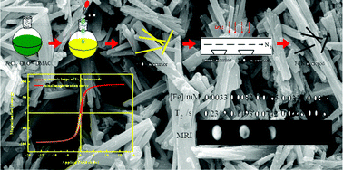 Graphical abstract: Synthesis and magnetism of ε-Fe3N submicrorods for magnetic resonance imaging