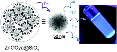 Graphical abstract: Preparation of colloidal solution of silica encapsulating cyanobiphenyl unit-capped ZnO QD emitting in the blue region